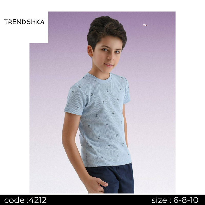 Boys Casual T-shirt Shorts