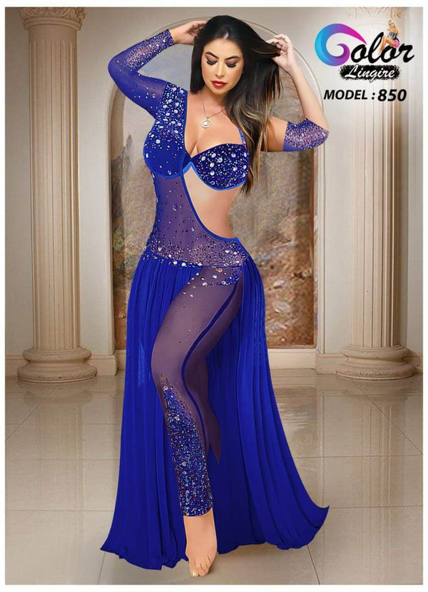 Belly Dance Suit Made Of Embroidered Tulle With Lycra - With One Sleeve - Divarouj