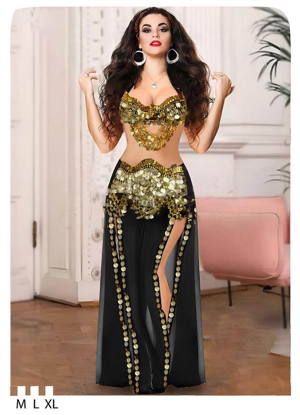 Shiny Full Embroidered Gold Coins Egyptian Belly Dance Dress 2 Piece Bra& Skirt - Divarouj